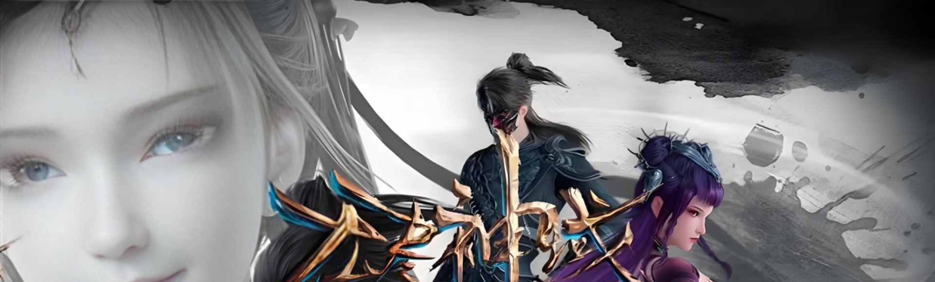 ddsl baner